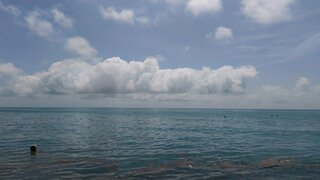 IMG_20260525_134308_249.thumb.jpg.54e373f2b444bdcfbb64293266b990ea.jpg