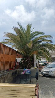 IMG_20260525_140749_204.thumb.jpg.32b3bdd5a691a5db5e115f08e06cbf3b.jpg
