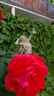 IMG_20260525_153609_785.thumb.jpg.f03ba6a2c37f1ba7c6c18e310fe4ca99.jpg