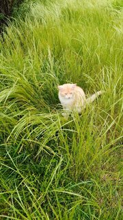 IMG_20260529_152356_736.thumb.jpg.d7bb4f0e09ced4aee85b58f29f8697ed.jpg