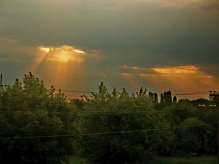 P1000870.1.jpg