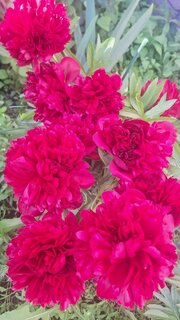 20260602_180638.jpg