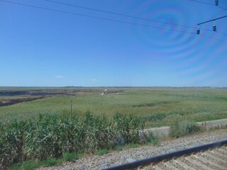 DSC01778.JPG