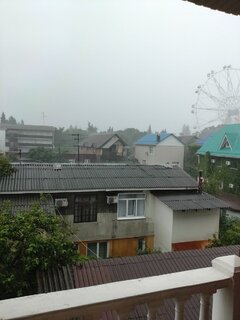 IMG20260620085926.jpg