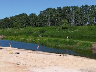 IMG_20260607_161135_377.jpg