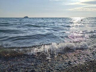 IMG_20260609_180802.thumb.jpg.a1208aa91eac913aa56635ad82bd3747.jpg