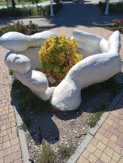 IMG_20260616_152811.jpg