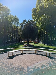 IMG_20260616_154636.jpg