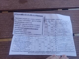 IMG_20260616_161922.jpg