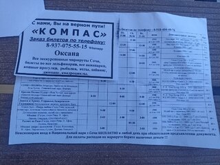 IMG_20260616_161951.jpg