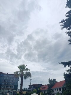 IMG_20260620_105922.jpg
