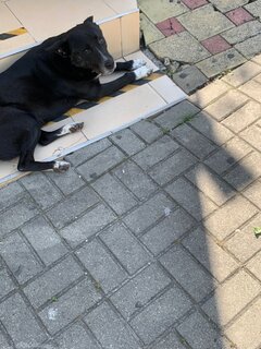 IMG_3852.thumb.jpeg.10aa73151fadba02e16c9281c35f63f5.jpeg