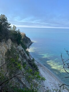IMG_4085.jpeg