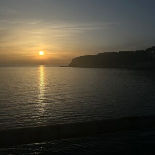 IMG_4146.jpeg