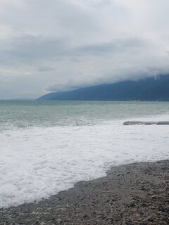 IMG_20260705_145957.jpg