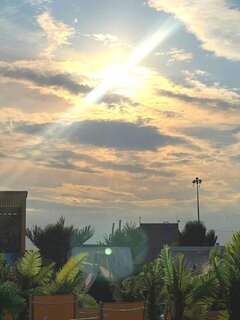 IMG_20260731_063746_399.jpg