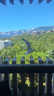 20260729_110824.jpg