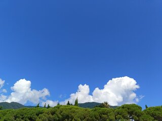 IMG_20260820_143414_782.jpg