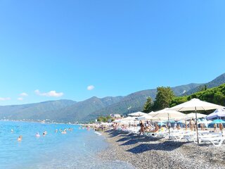 IMG_20260821_094234_733.jpg