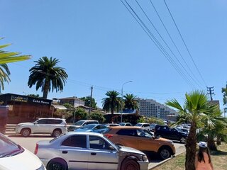 IMG_20260821_114912_639.jpg