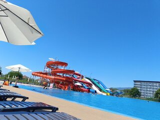 IMG_20260822_122552_169.jpg