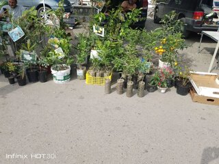 IMG_20260823_110801_898.jpg