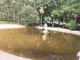 IMG_20260823_134938_401.jpg
