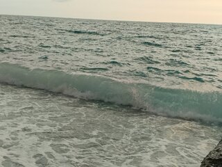IMG_20260823_182541_992.jpg