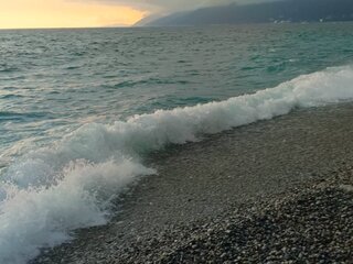 IMG_20260823_182559_541.jpg
