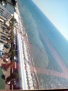 IMG_20260826_145525_851.jpg