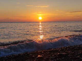 IMG_20260828_185510.jpg