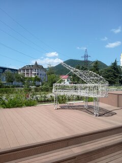 IMG_20260831_125421_285.jpg