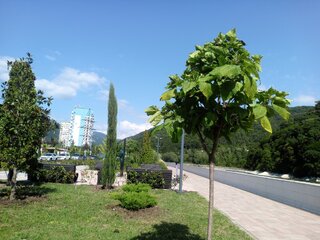 IMG_20260831_134625_885.jpg