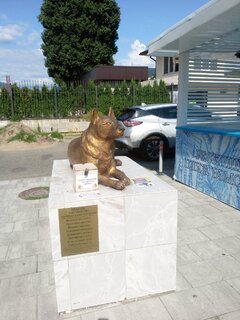 IMG_20260831_144124_334.jpg