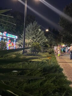 IMG_7020.jpeg