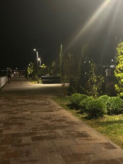 IMG_7173.jpeg
