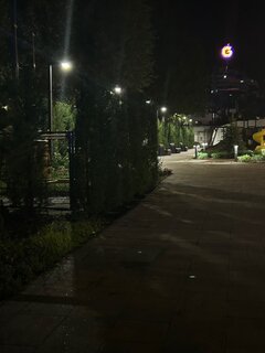 IMG_7182.jpeg