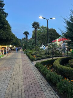 IMG_7255.jpeg