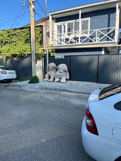 IMG_7459.jpeg