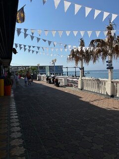 IMG_7469.jpeg