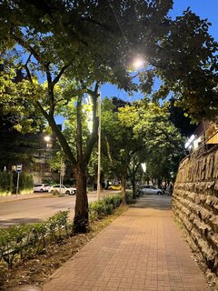 IMG_9204.jpeg