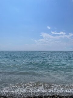 IMG_9221.jpeg
