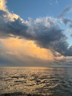 IMG_9238.jpeg