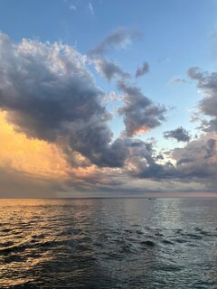 IMG_9239.jpeg