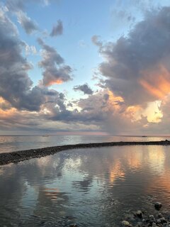 IMG_9241.jpeg