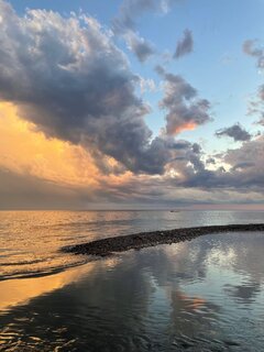 IMG_9242.jpeg