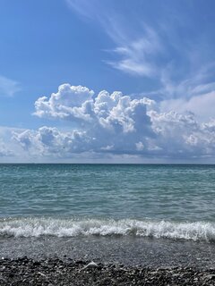 IMG_9299.jpeg