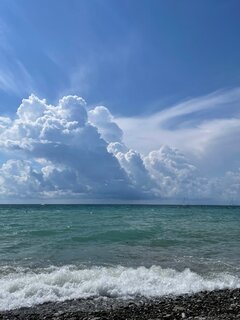 IMG_9303.jpeg