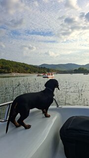 20260920_164950.jpg