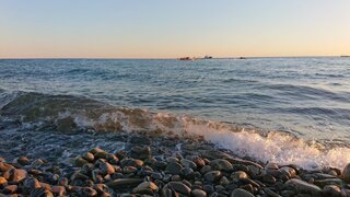 DSC_4481.JPG